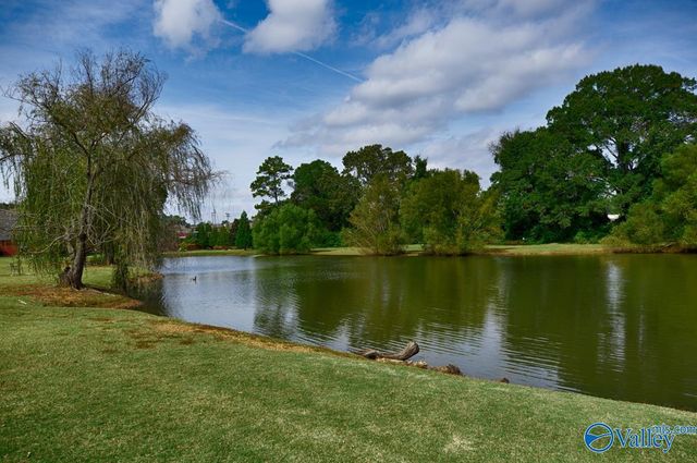 120 Burwell Ridge Trail, Harvest, AL 35749