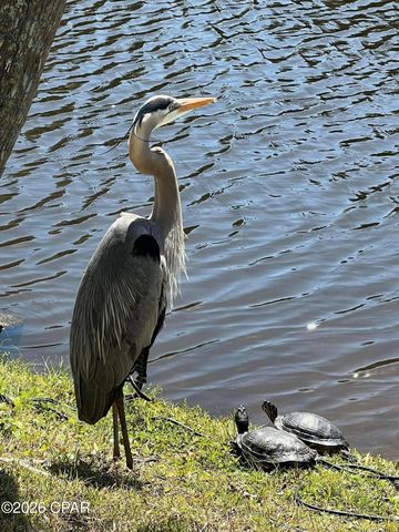 17462 Front Beach Road 55302, Panama City Beach, FL 32413