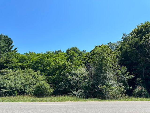 Lot 1 Christopher Lane, South Haven, MI 49090
