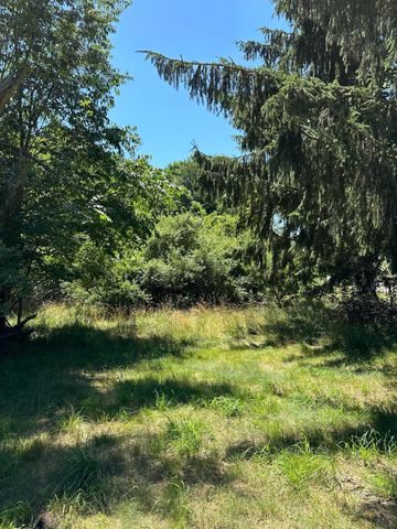 Lot 1 Christopher Lane, South Haven, MI 49090