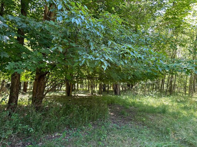 Lot 1 Christopher Lane, South Haven, MI 49090