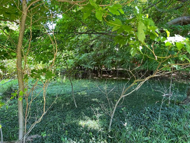 Lot 1 Christopher Lane, South Haven, MI 49090