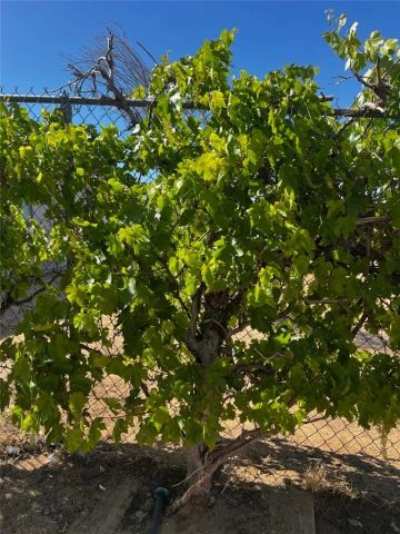 18312 Talisman, Hesperia, CA 92345