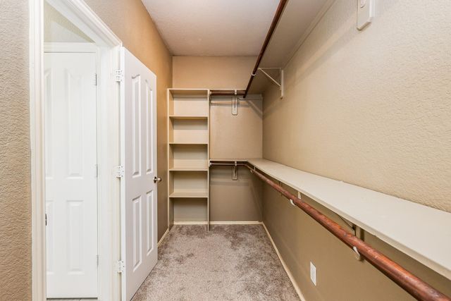 9626 Red Rugosa Drive, Houston, TX 77095