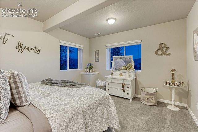 16028 Penn Central Way, Monument, CO 80132
