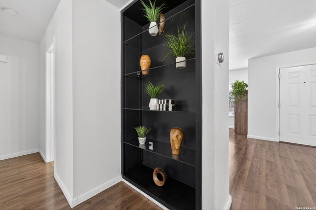 8001 Dove Trail, San Antonio, TX 78244