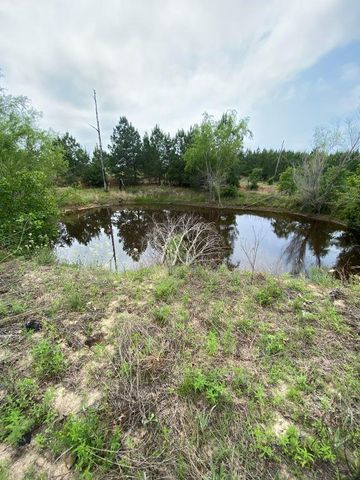 538 Cottletown RD, Smithville, TX 78957