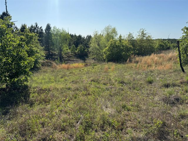 538 Cottletown RD, Smithville, TX 78957