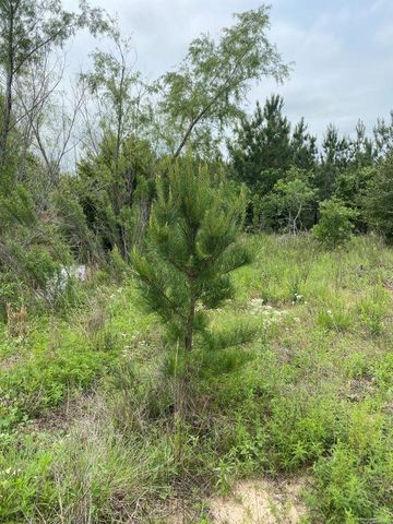 538 Cottletown RD, Smithville, TX 78957