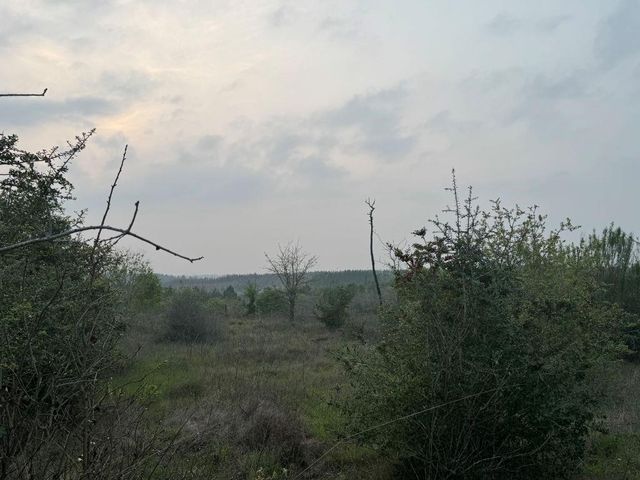 538 Cottletown RD, Smithville, TX 78957