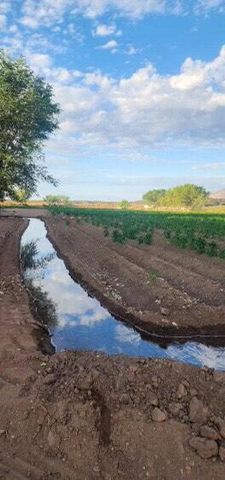 26 Schmittle Road, Socorro, NM 87801