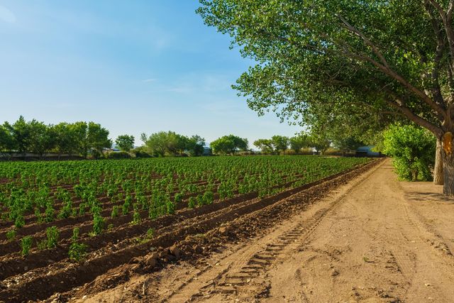 26 Schmittle Road, Socorro, NM 87801