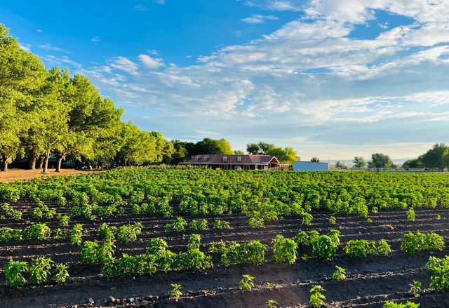 26 Schmittle Road, Socorro, NM 87801