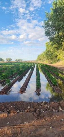 26 Schmittle Road, Socorro, NM 87801