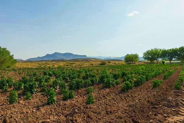 26 Schmittle Road, Socorro, NM 87801