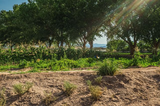 26 Schmittle Road, Socorro, NM 87801