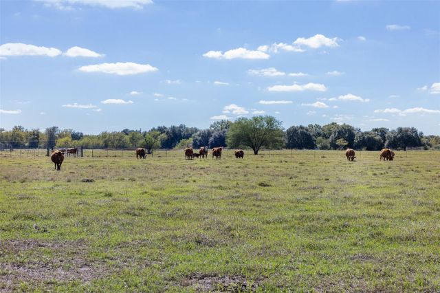 4231 Johnston Road, Wallis, TX 77485