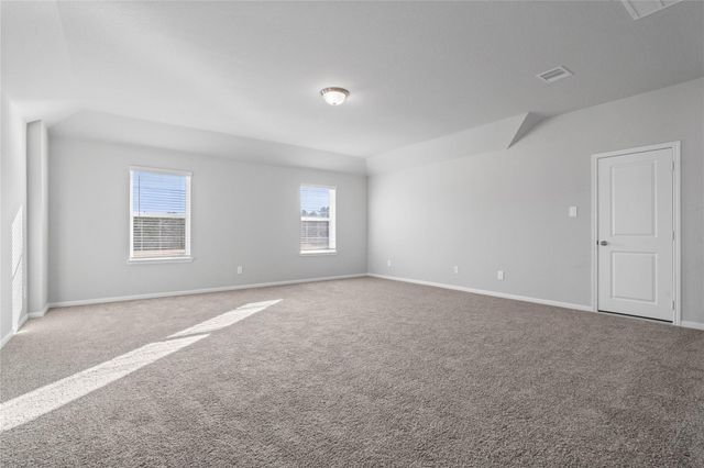 19556 Stripe Hill Bend, Montgomery, TX 77316