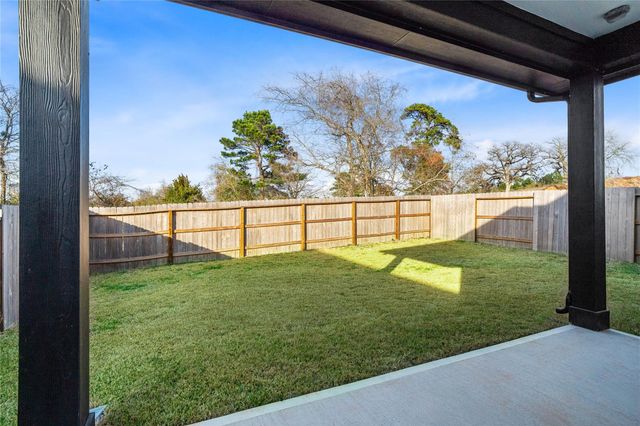 19556 Stripe Hill Bend, Montgomery, TX 77316