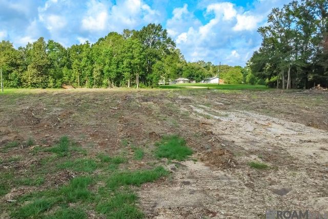 Tract 2A-1 Muddy Creek Rd, Prairieville, LA 70769