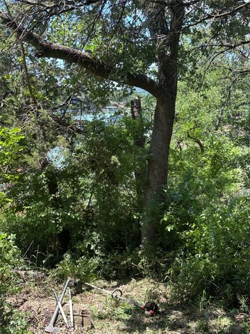 20 Marsden Lane, Palo Pinto, TX 76484