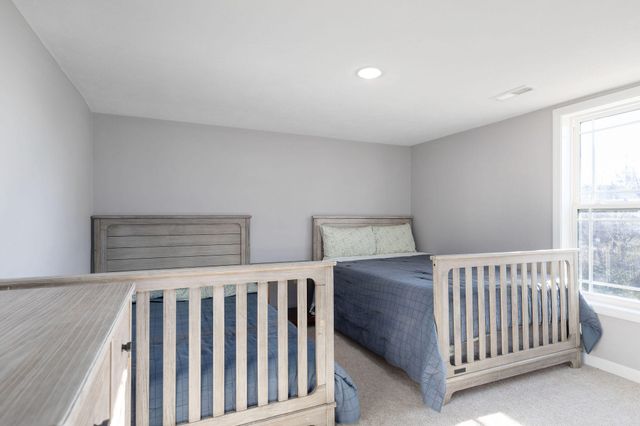 135 Dragonfly Lane, Branson, MO 65616