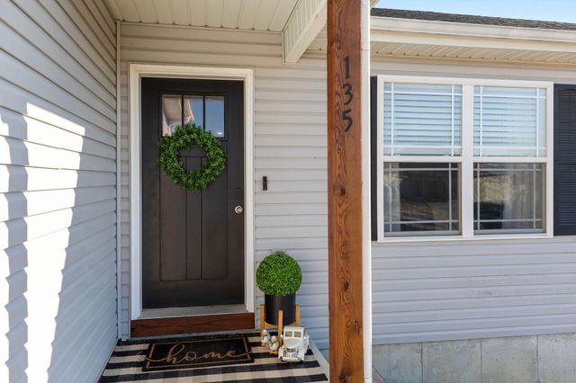 135 Dragonfly Lane, Branson, MO 65616