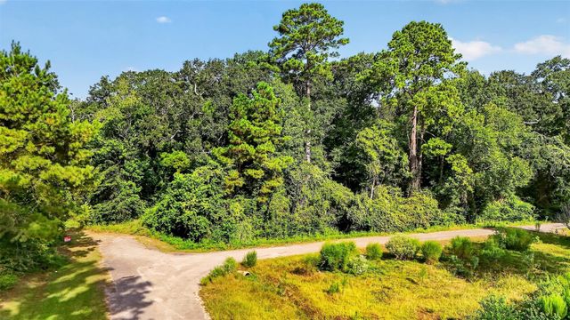 Tract 136 Garden West, Conroe, TX 77302