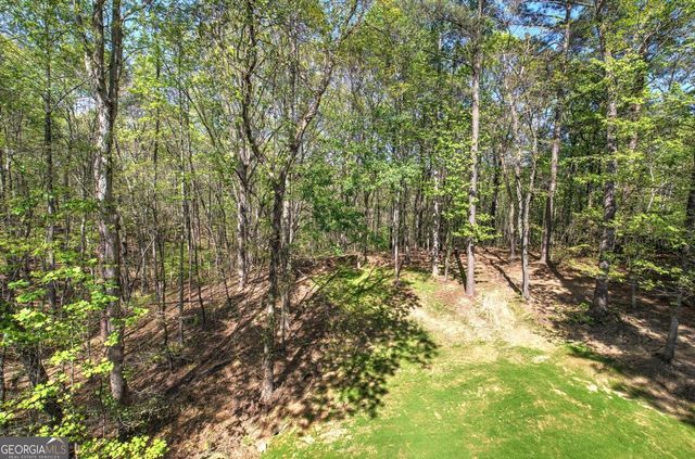 341 Birchwood Farms Lane, Dallas, GA 30132