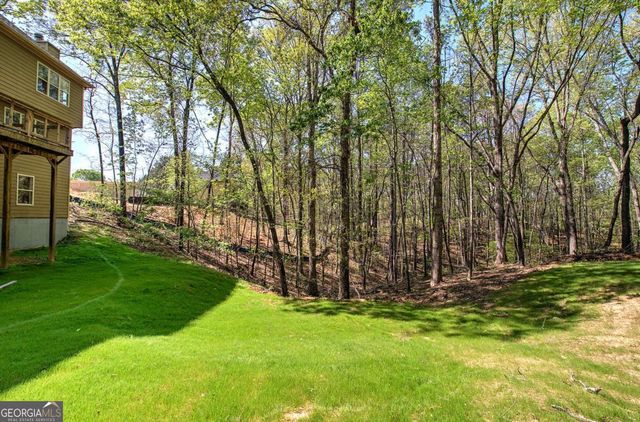 341 Birchwood Farms Lane, Dallas, GA 30132