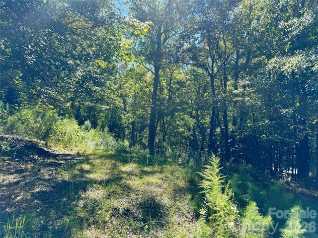 10062 Southwinds Drive, Indian Land, SC 29707