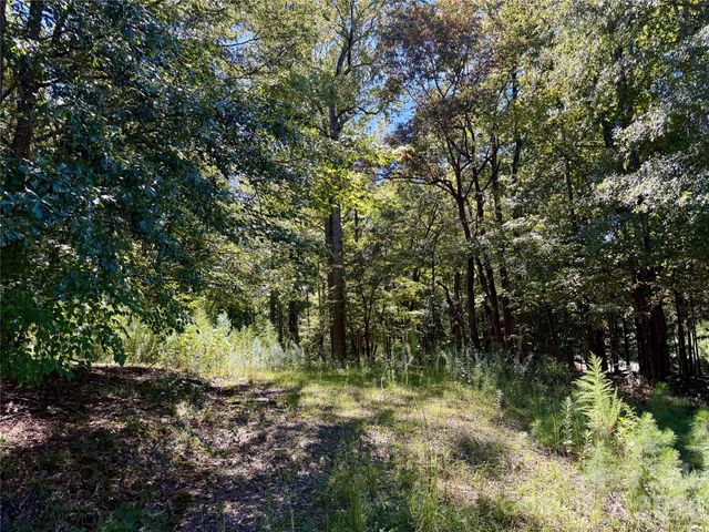 10062 Southwinds Drive, Indian Land, SC 29707