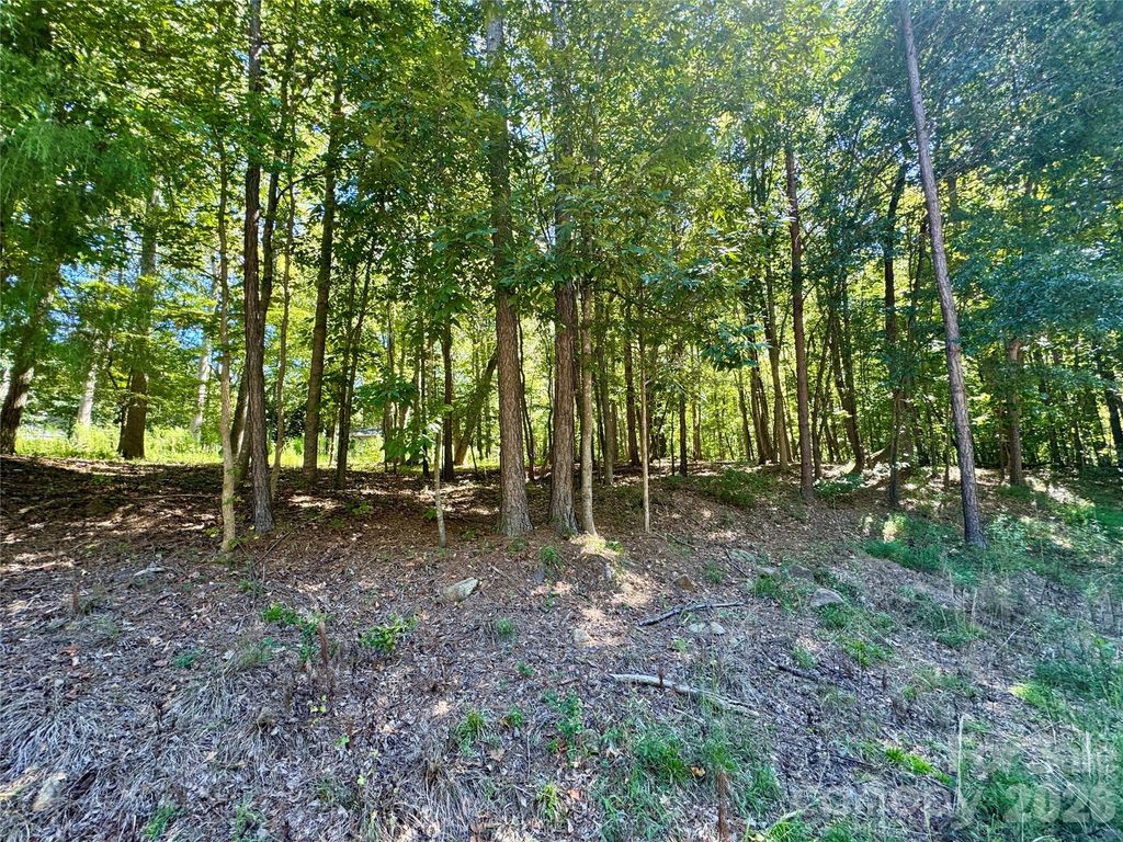 10062 Southwinds Drive, Indian Land, SC 29707