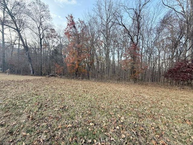 0 Tom Ball Road, Randleman, NC 27317