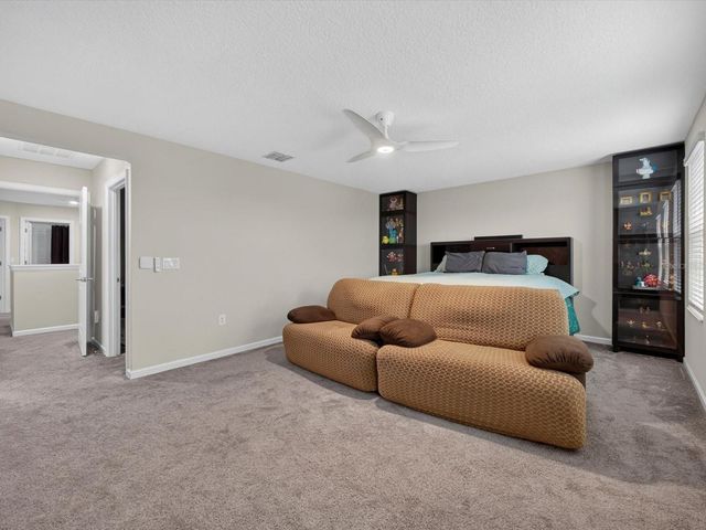 8975 FLUFFY LIE COURT, Davenport, FL 33896