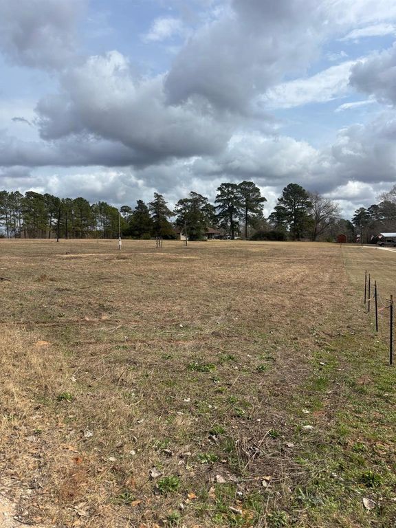 26703 Giles Rd Lote 2, Montgomery, TX 77356