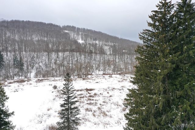 49 Jefferson Street, Ellicottville, NY 14731