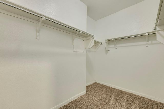 5861 Casstello DR, Round Rock, TX 78665