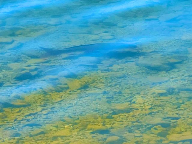 5505 Lakeshore Drive, Possum Kingdom Lake, TX 76450