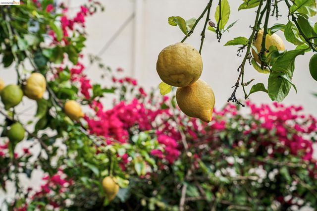 1206 E 22Nd St, Oakland, CA 94606