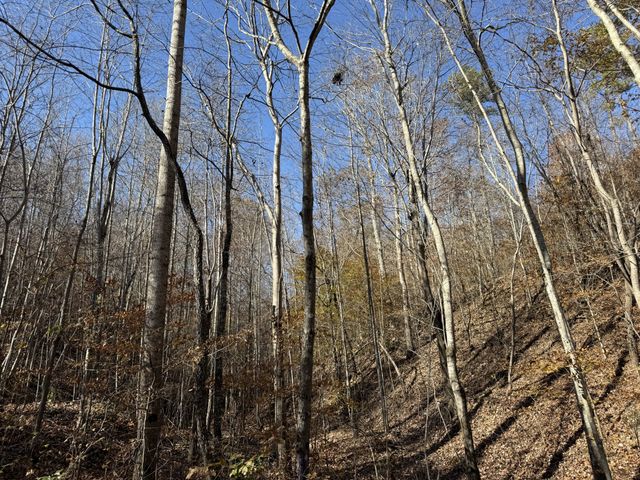 1560 Hurricane Creek Rd, Waynesboro, TN 38485