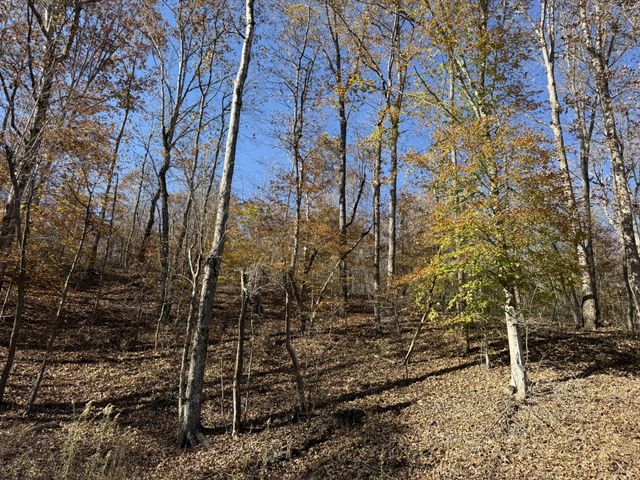 1560 Hurricane Creek Rd, Waynesboro, TN 38485