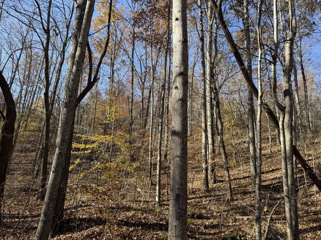 1560 Hurricane Creek Rd, Waynesboro, TN 38485