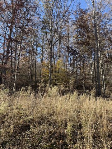 1560 Hurricane Creek Rd, Waynesboro, TN 38485