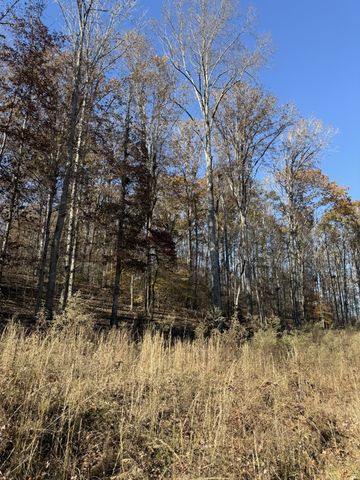 1560 Hurricane Creek Rd, Waynesboro, TN 38485