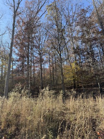 1560 Hurricane Creek Rd, Waynesboro, TN 38485