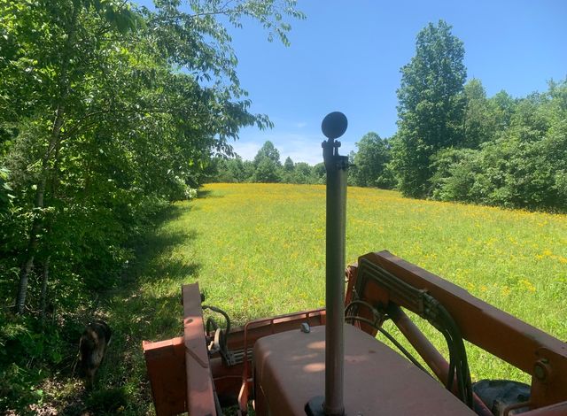 1560 Hurricane Creek Rd, Waynesboro, TN 38485