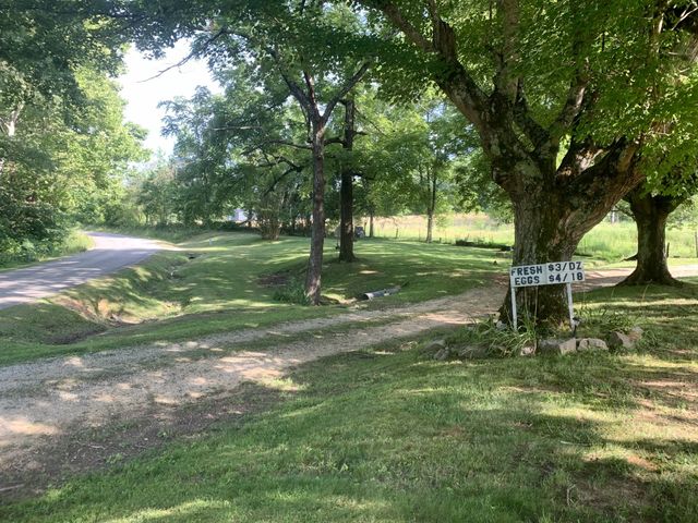 1560 Hurricane Creek Rd, Waynesboro, TN 38485