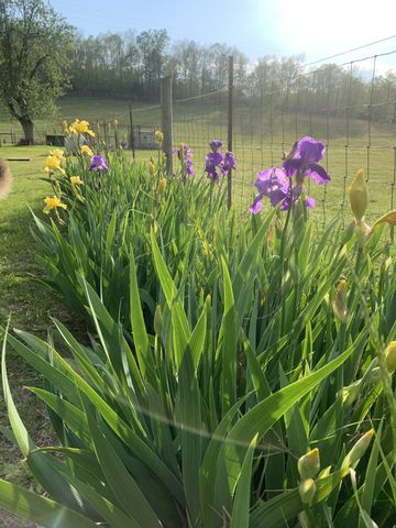 1560 Hurricane Creek Rd, Waynesboro, TN 38485