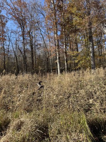 1560 Hurricane Creek Rd, Waynesboro, TN 38485